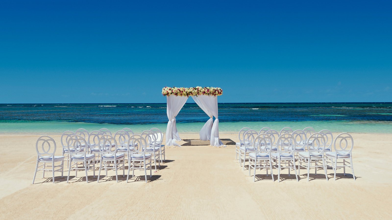 Ocean Coral Spring
